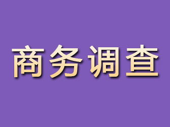 高密商务调查